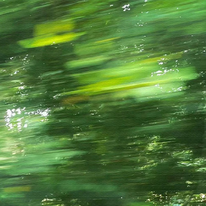 落花有意 (竖琴放松音乐)