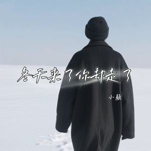 冬天来了你却走了