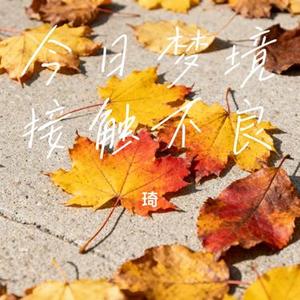 今日梦境接触不良 (Cover 沈梦瑶)