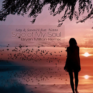 Solo of My Soul (Bryan Milton Remix)