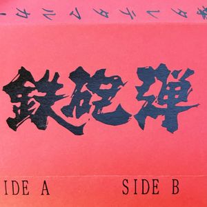 かなあみにしがみついて