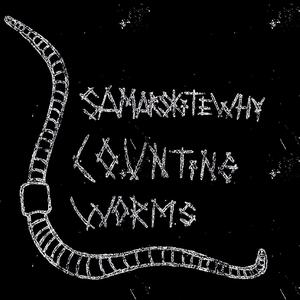 Counting Worms