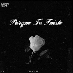 Porque Te Fuiste