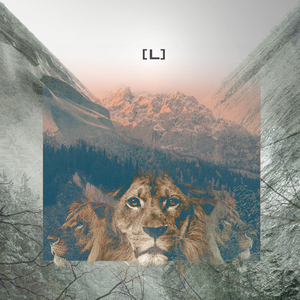 基因（young life）