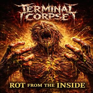 Rot From The Inside