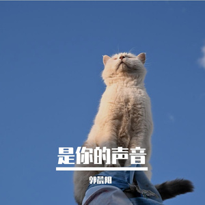 是你的声音
