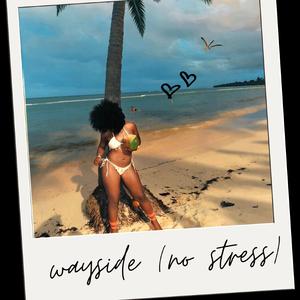 Wayside(No Stress) (feat. Sebi)