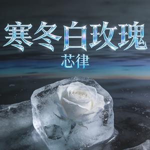 寒冬白玫瑰