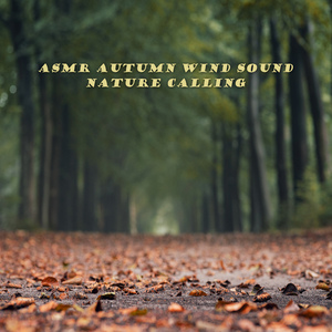 ASMR 가을바람소리