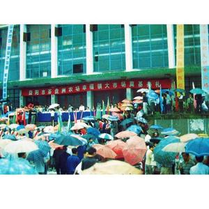 茶盘洲96年大洪水