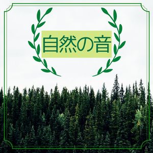 自然の音