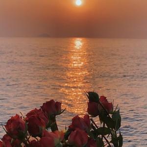 第一情歌(prod by Yleed)