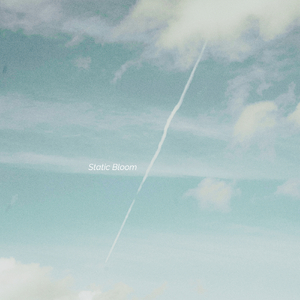 Static Bloom
