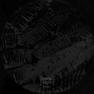 Monkey (feat. Nuwan Gunawardhana)