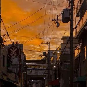 爱像垃圾被你丢弃