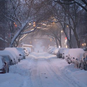 像雪落在窗前，又飞过这座城市