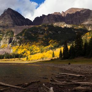 多情种（Cover：胡杨林）