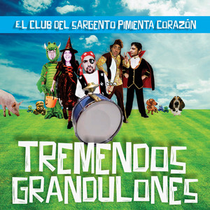 Porque No Nos Consultan a Nosotros