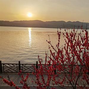 上海滩DJ