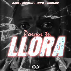 Porque Tu Lloras