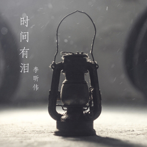 时间有泪（翻自 张碧晨）