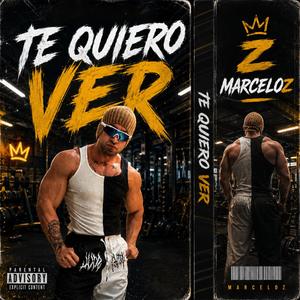 Te Quiero Ver