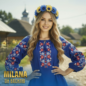 Ой василю