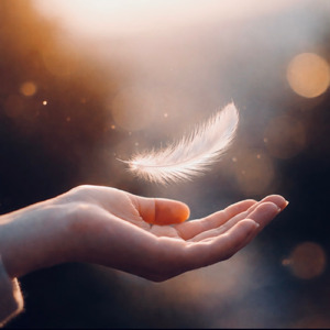 愛のカタチ (Live at Sapporo HALL 2026)