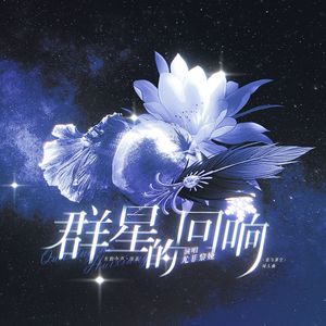 群星的回响