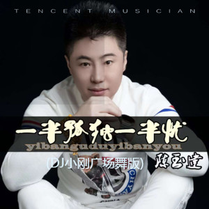 一半孤独一半忧 (DJ小刚广场舞版)