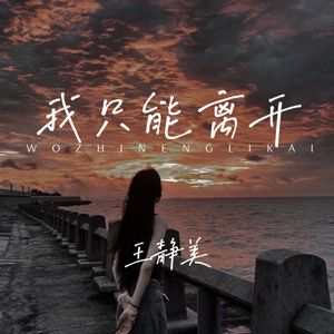 我只能离开