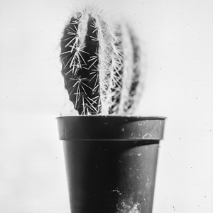 Filaments
