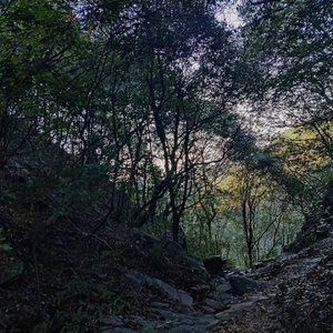 椿.(Cover:沈以诚)