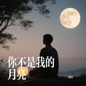 你不是我的月亮