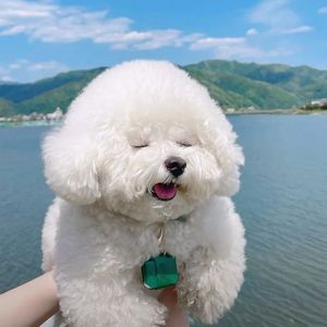 母亲母亲啊_320k