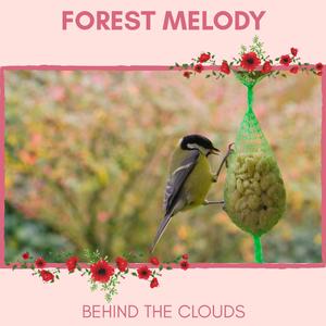 Pitch Black Raven at Midnight