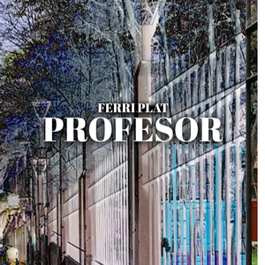 Profesor
