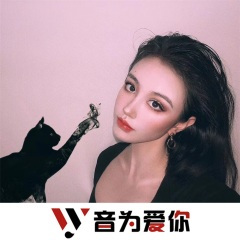 气质纯电 (DJ版)