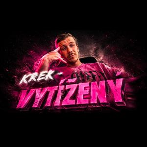 Vytížený