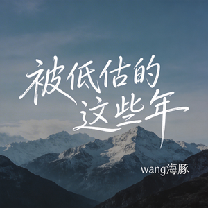 被低估的这些年（原版）