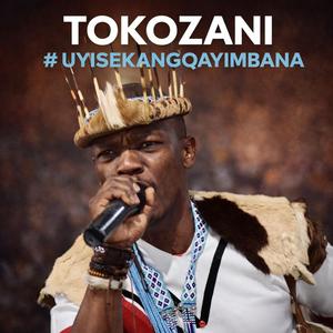 SIYAVUKA (feat. Ophola Ntshuntsha)