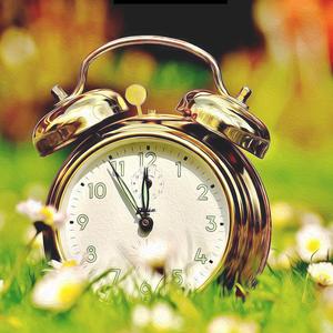 清晨闹钟