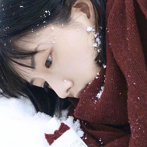 像我那样生活1.1x