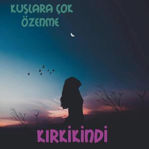 KUŞLARA ÇOK ÖZENME