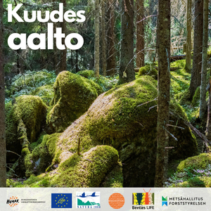 Kuudes aalto