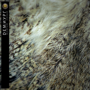 Мудрым совам