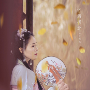 忆渡桥北