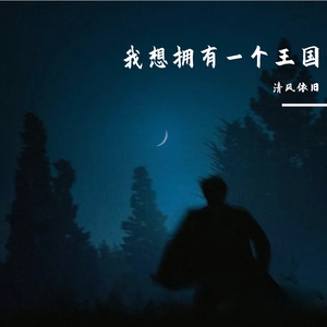 我想拥有一个王国