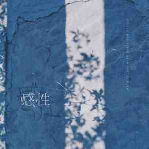 感性（Cover Fine乐团）