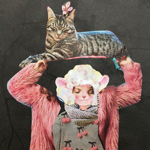 Там, где кошка